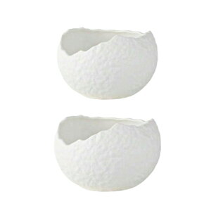 2Zbg H {E fU[g{E Z~bN fP[g ~j{E GKg a ܂ [Og T_    p[eB[ Cxg Mtg 蕨 zCg/