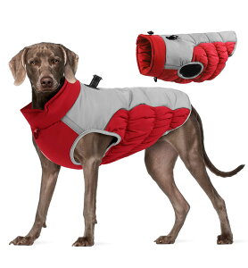   ybg ̕ hbOEFA WPbg Hp ~p g n[lXt   h wJ  H ~ m ybg   AE^[ іh~ U 