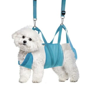 ybgp ݂  ybgp lR SobO ^ h~ Lg~O ł̂ ܐ؂ g~O ^ ږ Ȃ PA wp[  ˂ O[~O