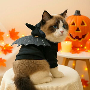 nEB ybg  L  RXv  ybg̕ p[J[ L lR  RX`[  킢 ʋC _炩 nEB[  ϑ ߑ U o ʐ^ Be 