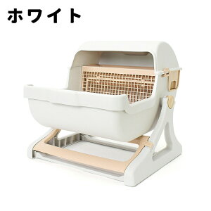 LgC LgC Lp֏ ^TCY J[ |sv e ȒPgݗ \ ChTCY̔LgCI |ŃNNǗ ՂeA