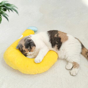 ybg ̂ p Lp NbV  _炩 ӂӂ  U^ ŕی Lp ʂ  ^ꂵȂ I[V[Y 􂦂 v[gp ybgpi 