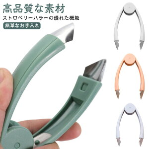 C`S̃w^ ւ  ւƂ pCibvJb^[  w^ Xgx[n[ C`S̃w^ C`S w^ s j@ ^l Lb`pi 