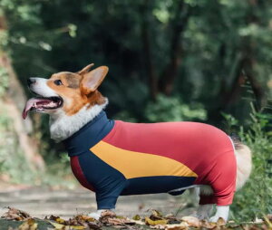 p Lp 4{ O h h hD h R[M[p Z W ^ q qL  L 킢 ybg H ~ JWA  U  L h  g ۉ  hbO