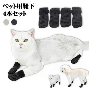 L\bNX pC ybgJo[ LpveNg ܃Jo[ PApi Eh~ ۉ NbV G XgXy a@p pPA h~  ybgObY LANZT[