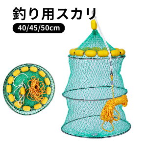 �X�J�� �������� ���ی�l�b�g �ނ�� ���ނ� �t�B�b�V���O �ʖ� 40cm 45cm 50cm �X�J�� �l�b�g�E�M���t �ۃ��b�V���X�J�� �ۃ��b�V���r�N �ނ蓹�� �C�ނ� 3��� ��u�� �D�� �ߋ� �����ʂ� ��