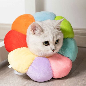 ��p �\�t�g�^�C�v �L�p �L �G���U�x�X ���p �L�p�i �� �L�O�b�Y ���p�i �������� �� �� �y�b�g�p�i �G���U�x�X �h�[�i�c �z�� �G���U�x�X�����O ���O�b�Y �y�� �N�b�V���� ���킢�� ���p