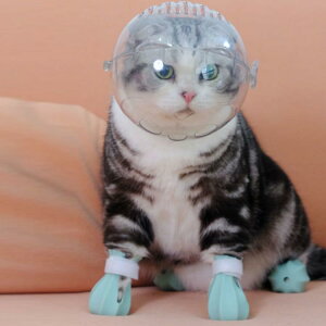 �L�p ���� �y�b�g�}�X�N �F���w�b�h�M�A���� ���� ���� �������� �L�p�}�Y�� �L �ʋC�� �G���U�x�X�J���[ �l�R �˂� �L ���P�A �ܐ؂�⏕�� ���ݕt���h�~ �E���H���h�~ ���r�ߖh�~ ���|��