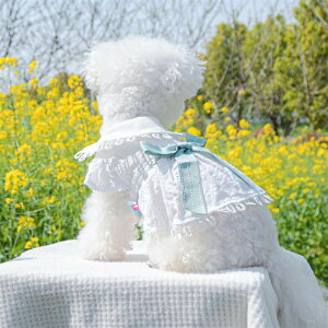 ybgpi ybg̕ [XPXJ[g N[ʋC tėp Ă~ 킢 UOop ^ ^ Lp MǑ΍