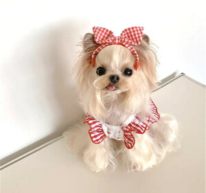   s[X ^  p 킢  `F[ ₷ Ȃ ybg hbOEFA U ybgEFA C LpɂΉ