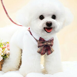 p  n[lX ̎փn[lX [h Zbg   p[h ^ ^p AɗD ʋCǂ EȒP yʐ݌v K tBbg _炩ĉK 񂪒܂Ȃ 