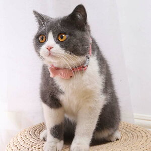 L   Z[teBobN lR ˂  ^ S  킢 lN^C Lp SobN [ht TCY y L^obN Lbg lRObY LO