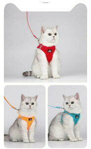 n[lX Ȃ L ^ ^ ^ EȂ Eɂ p  U [h h~  qh~ ʋC ߉\ ȒP ȒPE Jt SȂ n[