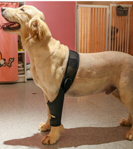 ֐߃veN^[ G T|[^[ O㑫Ep yA Œ ݑPA nr  ybgpPApi ܎ V pi VjA I  r I V V ^ ^