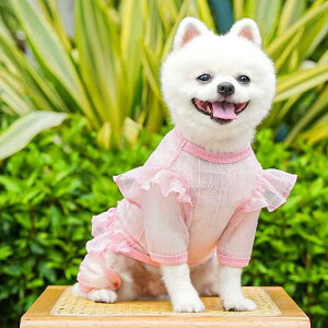 �� �� �� �� �� �� ���� �����₷�� �� �h���X �����s�[�X �`���[�� 2���Z�b�g �� �t���� ���̕� �X�J�[�g �t���� �`���`�� ������ ������� �������� ���킢�� �Ђ��� �L�k������ �� �L�� 