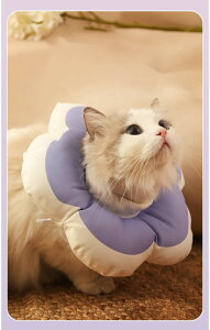 �V�� �G���U�x�X�J���[ �L ���p �l�R ���� �\�t�g �h�� �y�� �p����r�� ���ݖh�~���r�ߖh�~ ��p �����~���h�~ ���ݑւ��������� �s���C���p�K�� ���^�� ���^���p XS-L