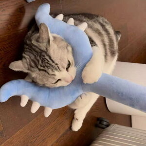 �ʂ������ ���� �����_ �n�`���� ������ 70cm ���@�̏� �R�X�v������ �L�����_ �l�` �G���O�b�Y ���� �ӂ�ӂ� �O�b�Y �}�X�R�b�g ������ �q�� ���̎q �a���� �n���E�B�� �v���[���g �����