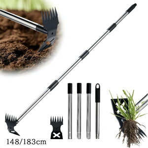 �V�� �L�k�� ���\ �F�� ������ 4�i5�i���� �X�e�����X�� ���| �c�[�� �ƒ�؉� �K�[�f�j���O �y�� ��v ���[�g�p�\ 148cm 183cm ����� ��d�� �M�t�g ���p�i �_��� �v���t�F�b�V���i�� �ƒ�