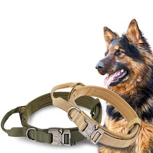    ̎ ^ ^p  т  ^  ̎ ɂȂ L _炩n S S y Č p ߉\ iCf v[g Mtg 