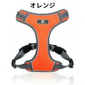 �� �n�[�l�X ���^�� ���^�� ��^�� �����ɂ��� �����Ȃ� �E���ɂ��� �E���Ȃ� �G�X�P�[�v�K�[�h ������� ���킢�� ���� �J�̓� ���S �A�E�g�h�A �ȒP ���b�N ���� ���p ��� ���o���� �U�� 