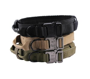    ̎ ^ ^p  т  ^  ̎ ɂȂ L S S y Č p v[g  Mtg p ybgpi