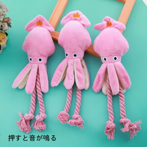 ���p�������� �����t�� �����^ ���݉������Q ���������� �y�b�g�p�V�ѓ��� ������ �L�p�������ጓ�p �y�b�g�g�C �ߋ� TOY ���킢�� �������� �s���N