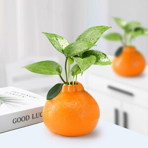 �t�����[�x�[�X �~�J�� 3�_�Z�b�g �ԕr �ی^ �ԓ��� ��֑}�� �I�����W�` �v���X�`�b�N �C���e���A �t���[�c ���k�͔| �ϗt�A�� ���^ �ԓ��� �G�� �Ԋ� �V���v�� �C���X�^�O���� �~�j ������ 