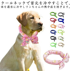 2�Z�b�g �� �N�[���l�b�N �� �y�b�g�p�����΍� ��Ђ��� �M���Ǒ΍� ��p �l�b�N�N�[���[ �⊴�^�I�� �Ђ���^�I�� ���p��p�����O �L�p��p�����O �X�J�[�t �A�C�X�N�[�������O ���^