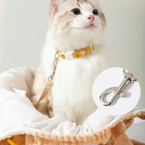 V_[obO ybg g[gobO L  XOobO o L[obO  H~ | o ybgobO ^ ^ ۉ ܂肽 