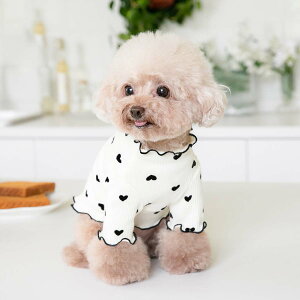 ���� ���킢�� ������� ���� ���̕� �h���X �t�� �H�~ ���^�� ���^�� �g�C�v�[�h�� �_�b�N�X �`���� �h�b�O�E�F�A �L �y�b�g�p�i �y�b�g�� �y�b�g�E�F�A�y�z���C�g �s���N �x�[�W�� XS S M L