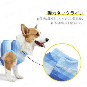 �p�㕞 ������^���p �p��E�F�A �H�c�� �R�[�M�[ �C�k�L���b�g �l�r �p�㕞 �p�㒅 ���p �����畆�ی� ������ ��p�� �I�X ���X���p ��D ���� ������ ���� �p��E�F�A �G���U�x�X�J���[��