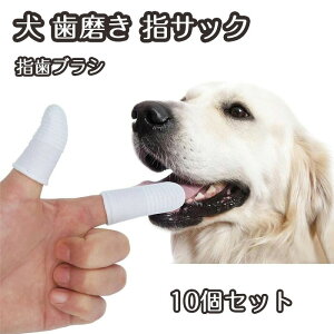 �y�b�g���u���V 10���Z�b�g �� ������ �w�T�b�N �y�b�g�p�w���u���V �w���u���V �y�b�g�p ���u���V ���p���u���V ���p �y�b�g���o�P�A�p ���L�p������ �N���[�j���O�p�i ���o�P�A ���L�P�A 