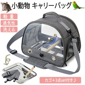 CR L[ P[W obO ybgL[ L[P[X L[P[W ybg V_[obO 莝 | 2WAY   p o[hP[W CR nX^[  