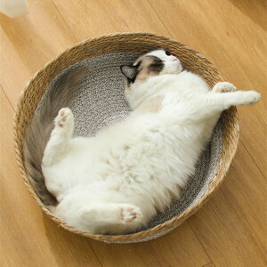 �y�b�g�x�b�h �⊴ �L�x�b�h ���� �L�p�x�b�h �L�\�t�@ �􂦂� �ۂ��L�̃x�b�h �� ���� �y�b�g�̑� �\�t�@�[�x�b�h �ې� ������ �܂Ƃ� �~�` �ی^ �y�b�g �L�x�b�h �y�b�g�O�b�Y �y�b�g