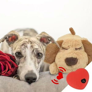 �� �S�����o�� �ʂ������ �S�� ���� �������� �� �s���ɘa �����⏕ ������ �����n �s������ �ʂ������ ������ �����݂������� ������ �y�b�g�̂������� �� �X�g���X���� ���킢�� ���^��