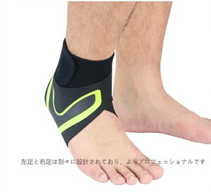 1iБjT|[^[ Œ ALXF T|[^[ ؓی ֐ x X|[cp l̍Hw̌ e ߉\Ȉ̓oh EȒP ʋC jp X|[c p