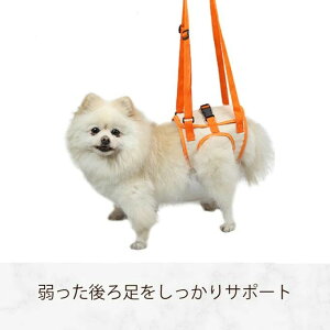 ���p���n�[�l�X �� ���p ���s �⏕�n�[�l�X �V�� ��둫 �͂�����Ȃ� �T�|�[�^�[ ���� �w���j�A �p�� �������� ���s�⏕�� � ���n�r�� ���� �x���g �o���h ���p�i �����Ȃ� ���[�h 