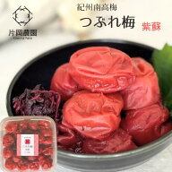 【無添加】つぶれ梅 紫蘇 無添加 1kg 天然塩 減農薬 送料無料 訳あり 梅干し 梅干 梅ぼし うめぼし 南高…