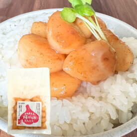 【1000円ポッキリ】 【送料無料】【国産・無添加】梅にんにく 80g 低臭 安心の国産原料 紀州南高梅使用 かつお風味 ご飯のお供に お料理にも