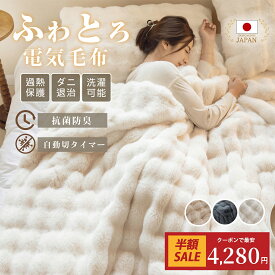 ＼期間限定★クーポンで最安4,280円／【楽天1位】電気毛布 掛け敷き兼用 ふわとろ電気毛布 大判190×130/160×80/120×60cm 炭素繊維ヒーター 両用 フランネル 自動電源オフ ダニ退治 過熱保護 タイマー機能付 電気ブランケット ひざ掛け 洗える ダブル 2人 節電