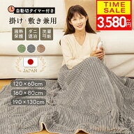 【9月限定★冬支度応援クーポン】【楽天1位】電気毛布 掛け敷き兼用 大判190×130/160×80/120×60cm 炭…