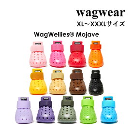 日本総代理店《3,980円以上で送料無料》ワグウェア ワグウェリーズ モハベ 2個入 WAGWEAR 正規輸入代理店 mojave 【od】