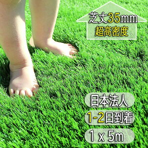 lH [ Ő [ A Ő lH V[g lHŃ}bg AlH 1m×5m ŏ 3.5cm A lHŃ[ x2.5{ Ő }bg ŐV[g h r Gh~ G e