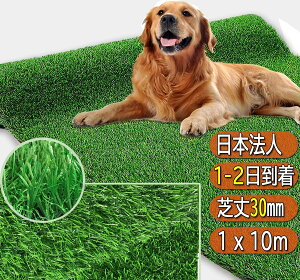 lH [ Ő [ A Ő lH V[g lHŃ}bg AlH ŏ 3cm - 3.5cm A lHŃ[ x1.8{ Ő }bg ŐV[g h r Gh~ G ei