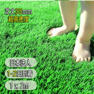 人工芝 ロール 芝生 ロール リアル 芝生 人工芝 シート 人工芝マット リアル人工芝 1m×2m 芝丈 3.5cm リ…
