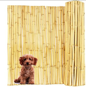 |_ tFX ډB O |_tFX 1-2m×2m ډBtFX  tFX ډB  tFXLO   K[fjO ؐ tFX  ډBtFX t tFX 