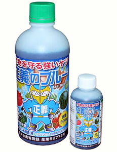 ���`�̃u���[�i500g�{�g���j