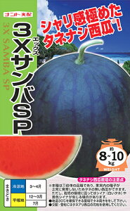 3X�T���oSP[��q100����]