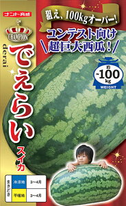 �ł��炢(�R���e�X�g����)[��q����10����]