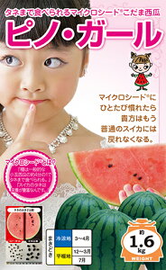 smEK[(܃XCJ)`}CNV[h^Cv`[q 5]